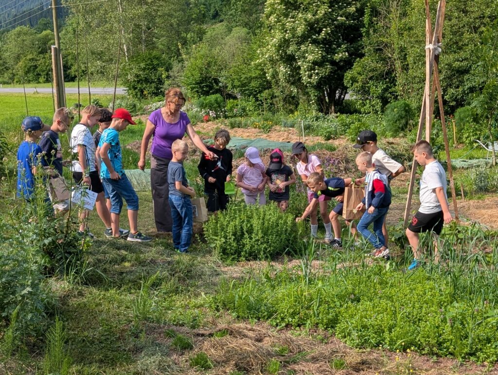 Whatsapp image 2025 06 15 at 14.24.05 (6)