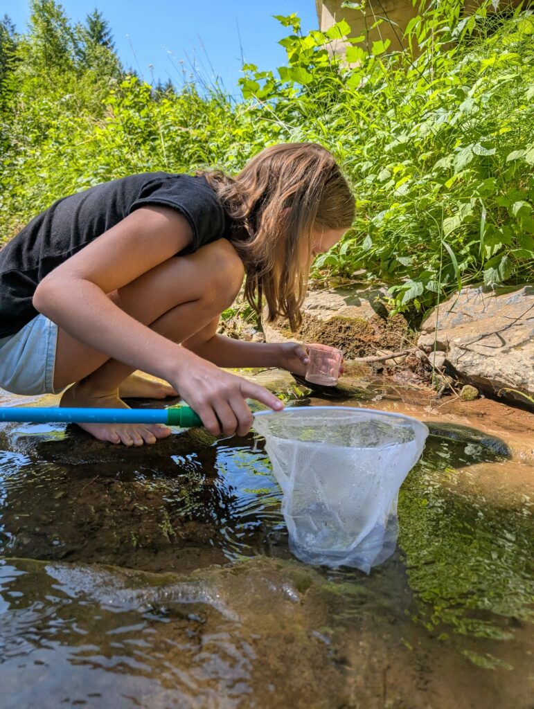 Whatsapp image 2025 07 02 at 19.36.29 (5)