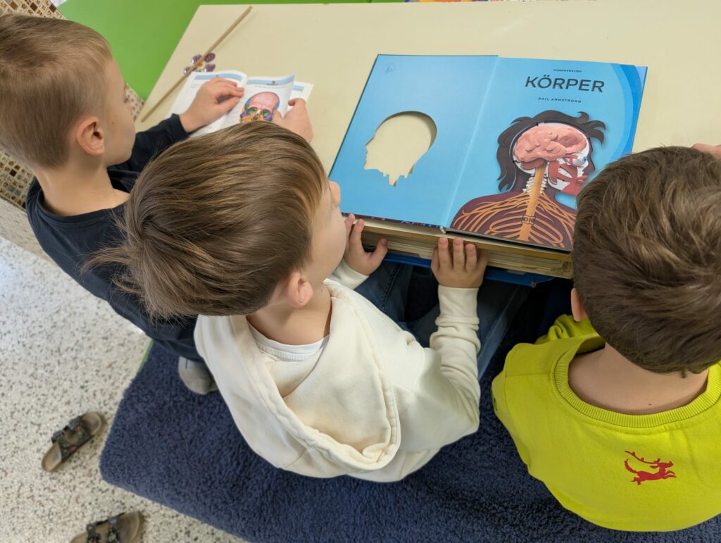 WhatsApp Image 2026 01 10 at 14.05.08 (2)