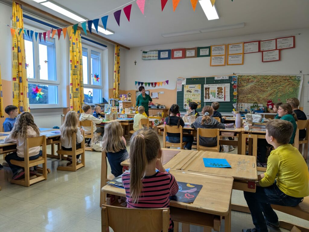 WhatsApp Image 2026 01 10 at 14.13.36 (3)